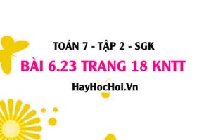 Bài 6.23 trang 18 Toán 7 Tập 2 Kết nối tri thức